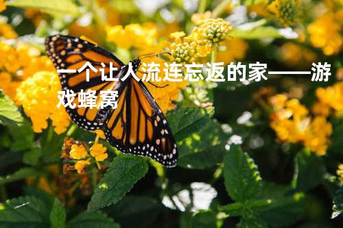 一个让人流连忘返的家——游戏蜂窝