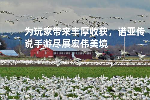 为玩家带来丰厚收获,诺亚传说手游尽展宏伟美境