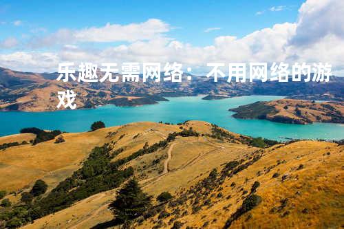 乐趣无需网络:不用网络的游戏