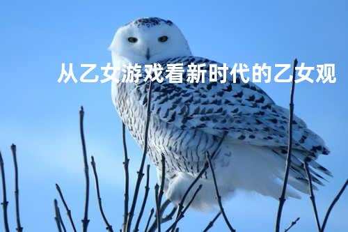 从乙女游戏看新时代的乙女观