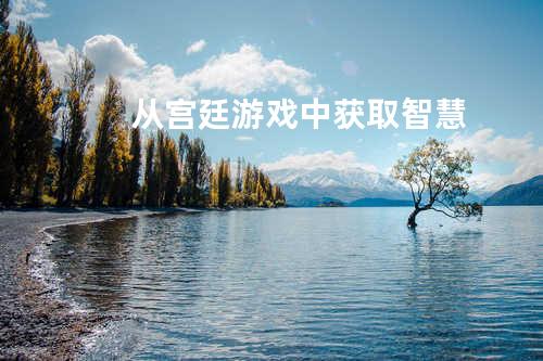 从宫廷游戏中获取智慧