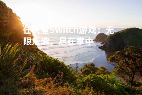 任天堂 Switch 游戏:无限乐趣,尽在掌中