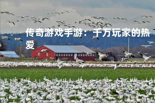 传奇游戏手游:千万玩家的热爱
