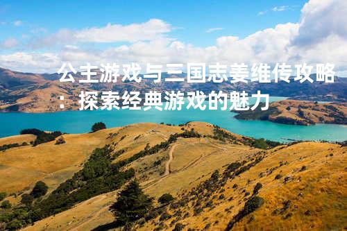 公主游戏与三国志姜维传攻略:探索经典游戏的魅力