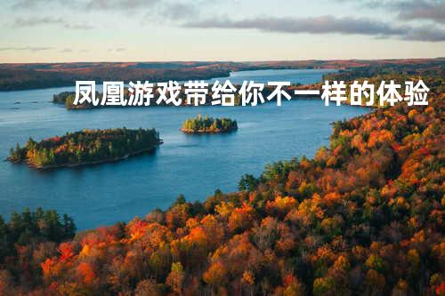 凤凰游戏带给你不一样的体验