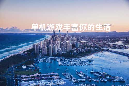 单机游戏-丰富你的生活
