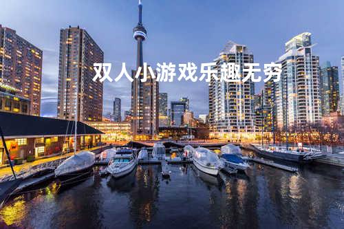 双人小游戏乐趣无穷