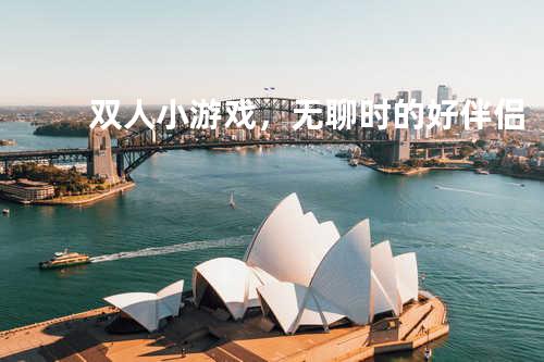 双人小游戏，无聊时的好伴侣