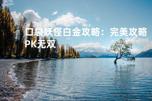 口袋妖怪白金攻略:完美攻略PK无双