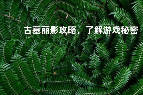古墓丽影攻略,了解游戏秘密