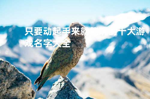 只要动起手来就能玩的十大游戏名字大全