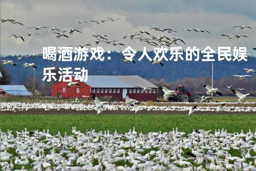 喝酒游戏:令人欢乐的全民娱乐活动