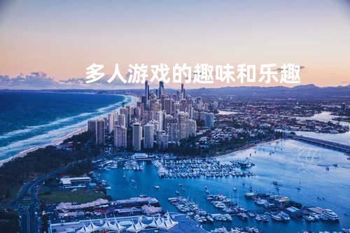 多人游戏的趣味和乐趣