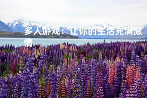 多人游戏:让你的生活充满激情