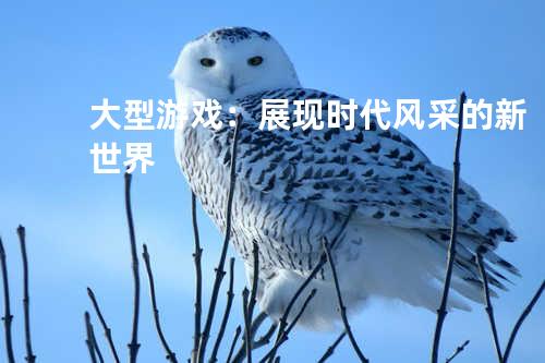 大型游戏：展现时代风采的新世界