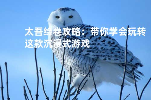 太吾绘卷攻略：带你学会玩转这款沉浸式游戏