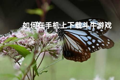 如何在手机上下载斗牛游戏
