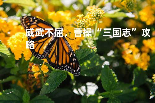 威武不屈,曹操“三国志”攻略