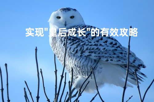 实现