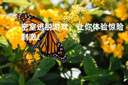 密室逃脱游戏,让你体验惊险刺激!