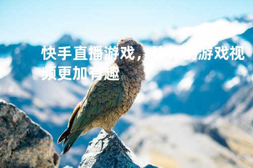 快手直播游戏,让你的游戏视频更加有趣