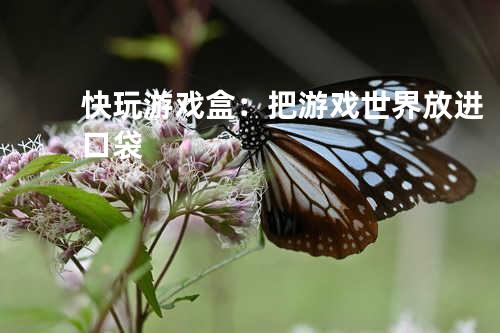 快玩游戏盒：把游戏世界放进口袋