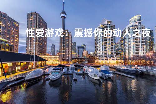 性爱游戏：震撼你的动人之夜