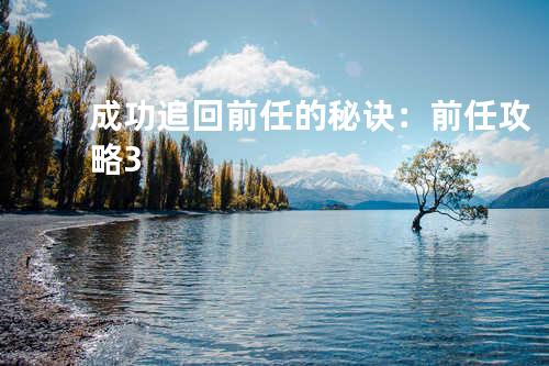 成功追回前任的秘诀:前任攻略3