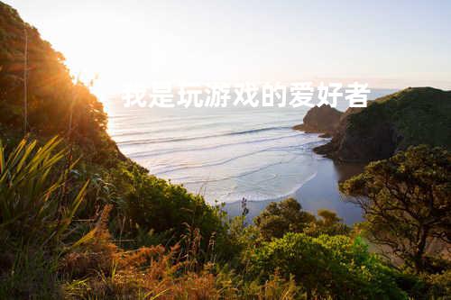 我是玩游戏的爱好者
