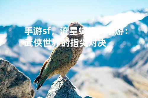 手游sf,流星蝴蝶剑手游:武侠世界的指尖对决