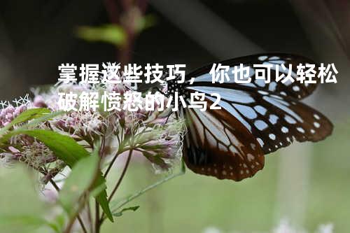 掌握这些技巧,你也可以轻松破解愤怒的小鸟2