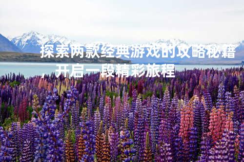 探索两款经典游戏的攻略秘籍,开启一段精彩旅程