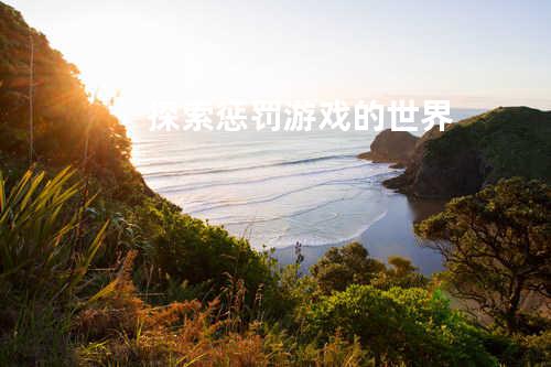探索惩罚游戏的世界