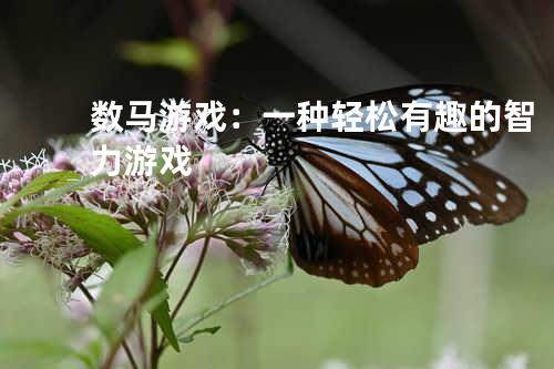 数马游戏：一种轻松有趣的智力游戏