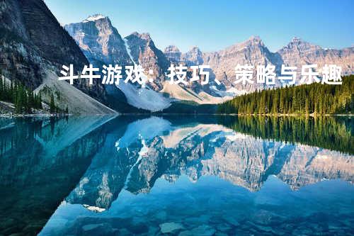 斗牛游戏：技巧、策略与乐趣