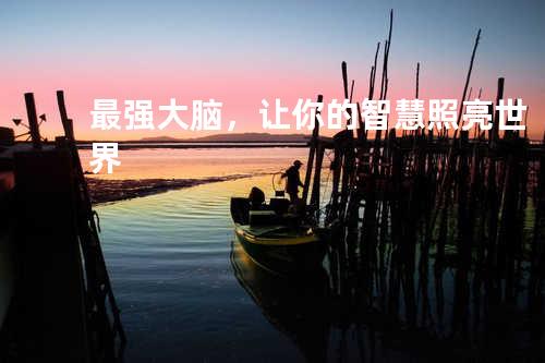 最强大脑，让你的智慧照亮世界