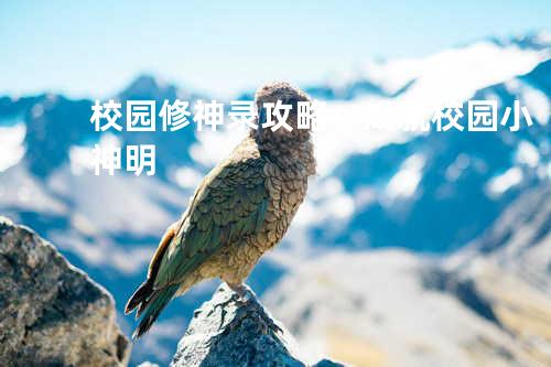 校园修神录攻略：成就校园小神明