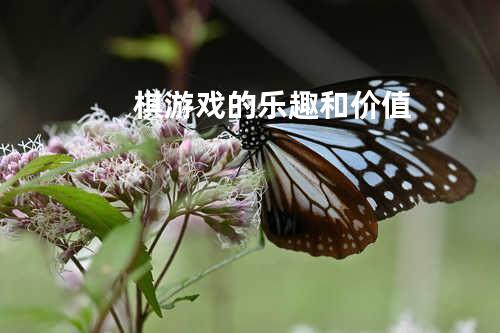 棋游戏的乐趣和价值
