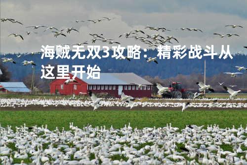 海贼无双3攻略:精彩战斗从这里开始