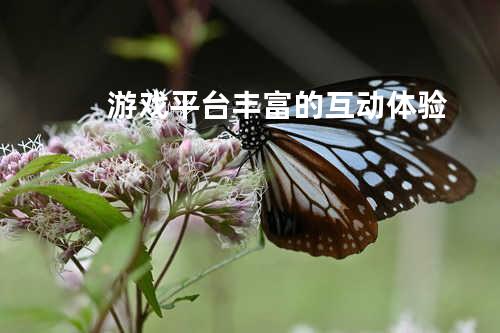 游戏平台-丰富的互动体验