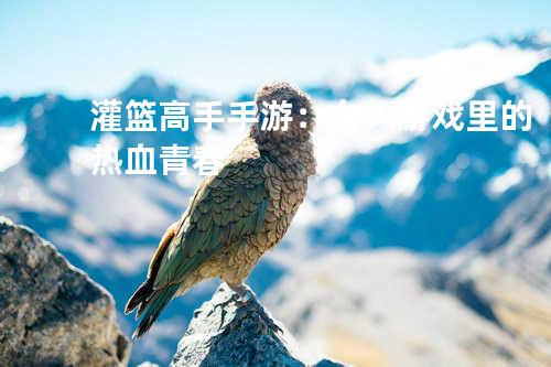 灌篮高手手游:女人游戏里的热血青春