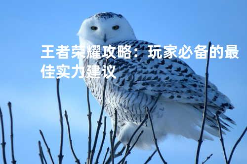 王者荣耀攻略:玩家必备的最佳实力建议