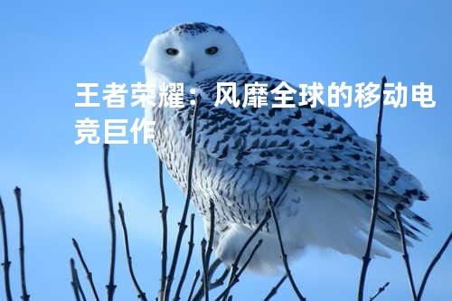 王者荣耀:风靡全球的移动电竞巨作