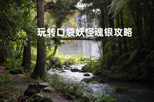 玩转口袋妖怪魂银攻略
