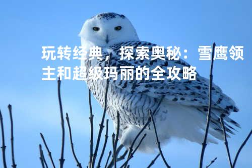 玩转经典,探索奥秘:雪鹰领主和超级玛丽的全攻略