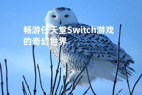 畅游任天堂Switch游戏的奇幻世界