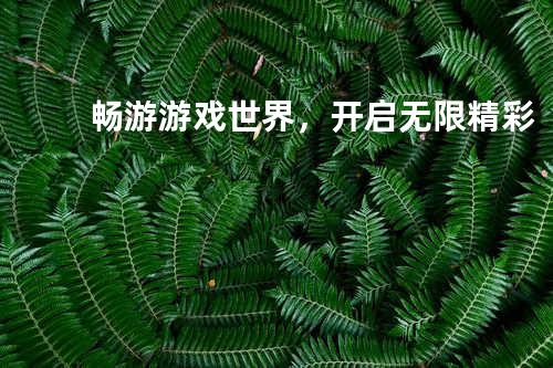 畅游游戏世界,开启无限精彩