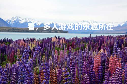看,多人游戏的乐趣所在
