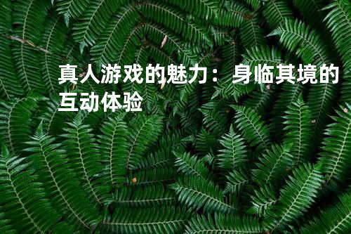 真人游戏的魅力：身临其境的互动体验