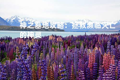 神之墓地攻略：拯救濒临灭亡的神灵